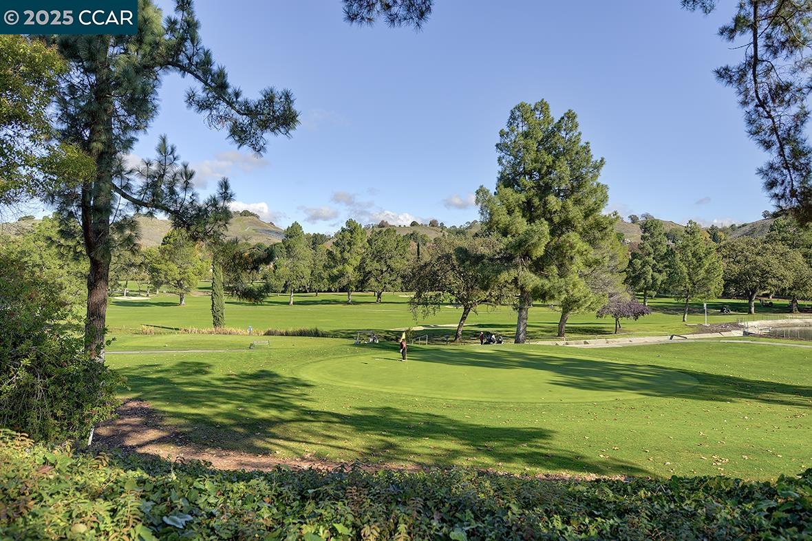 2424 Tice Creek Drive, Unit 2 Walnut Creek, CA 94595 - Photo 41 of 54 a park with lots of green space and trees