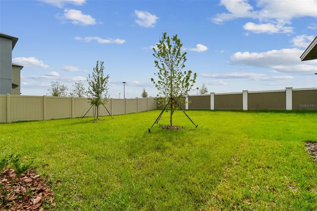 a view of a backyard
