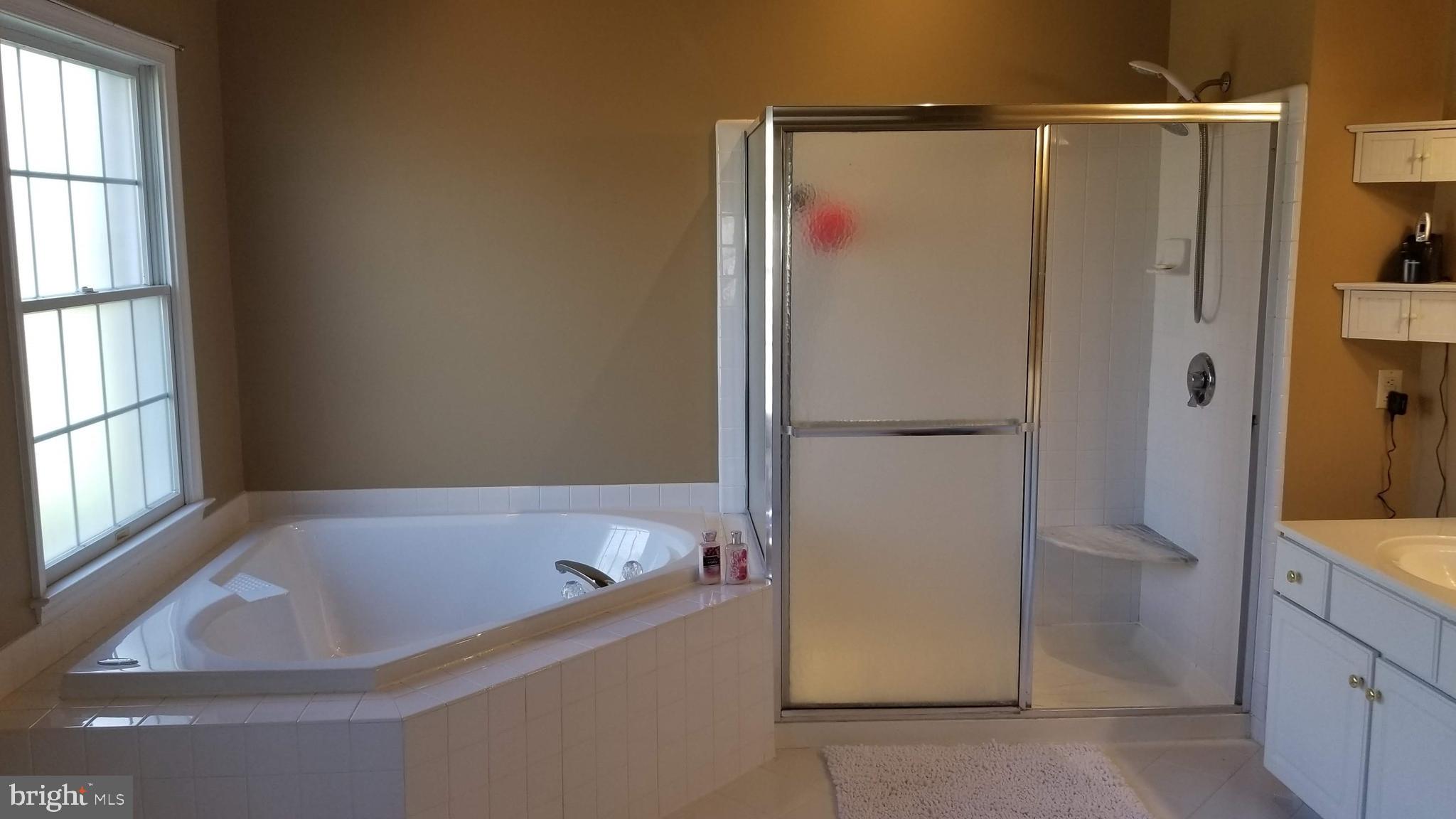 2362 Cross Creek Road Macungie, PA 18062 - Photo 20 of 32 Master En-suite Bath