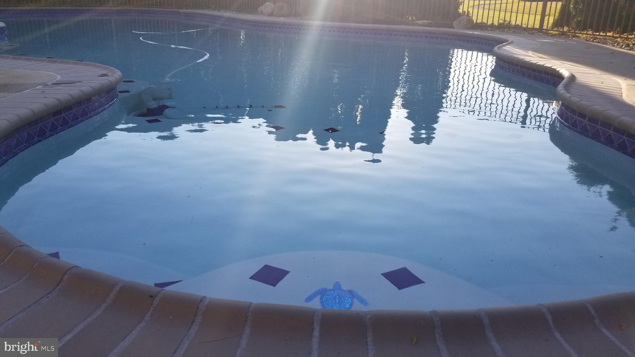 2362 Cross Creek Road Macungie, PA 18062 - Photo 29 of 32 Pool from shallow end