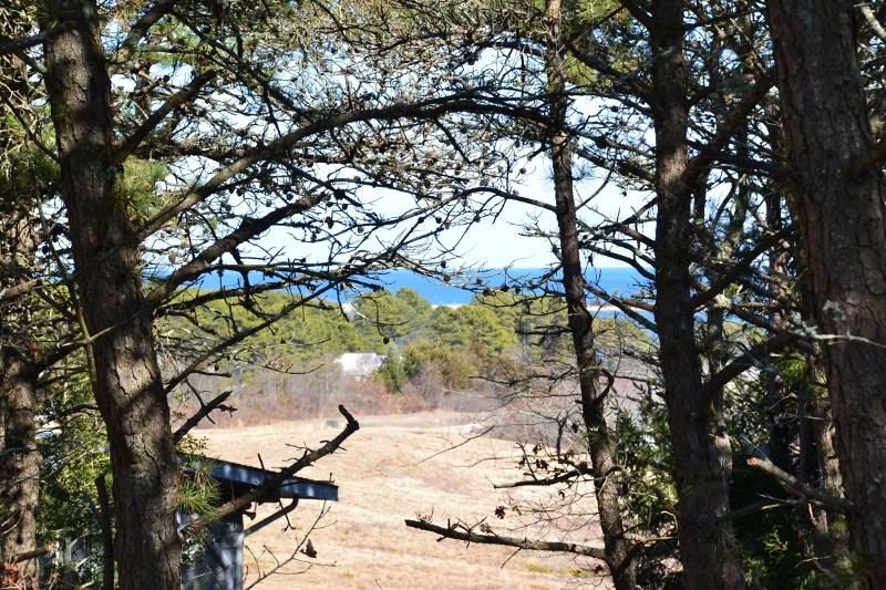 438 County Road Oak Bluffs, MA 02557 - Photo 8 of 12 peeks of Nantucket Sound from the 2nd floor