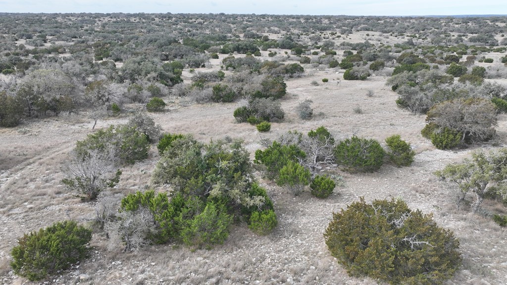 Lot 11 Other Rocksprings, TX 78880 - Photo 6 of 10 an aerial view of house with yard