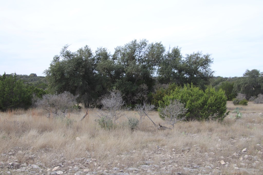 Lot 11 Other Rocksprings, TX 78880 - Photo 9 of 10 a view of a dry field