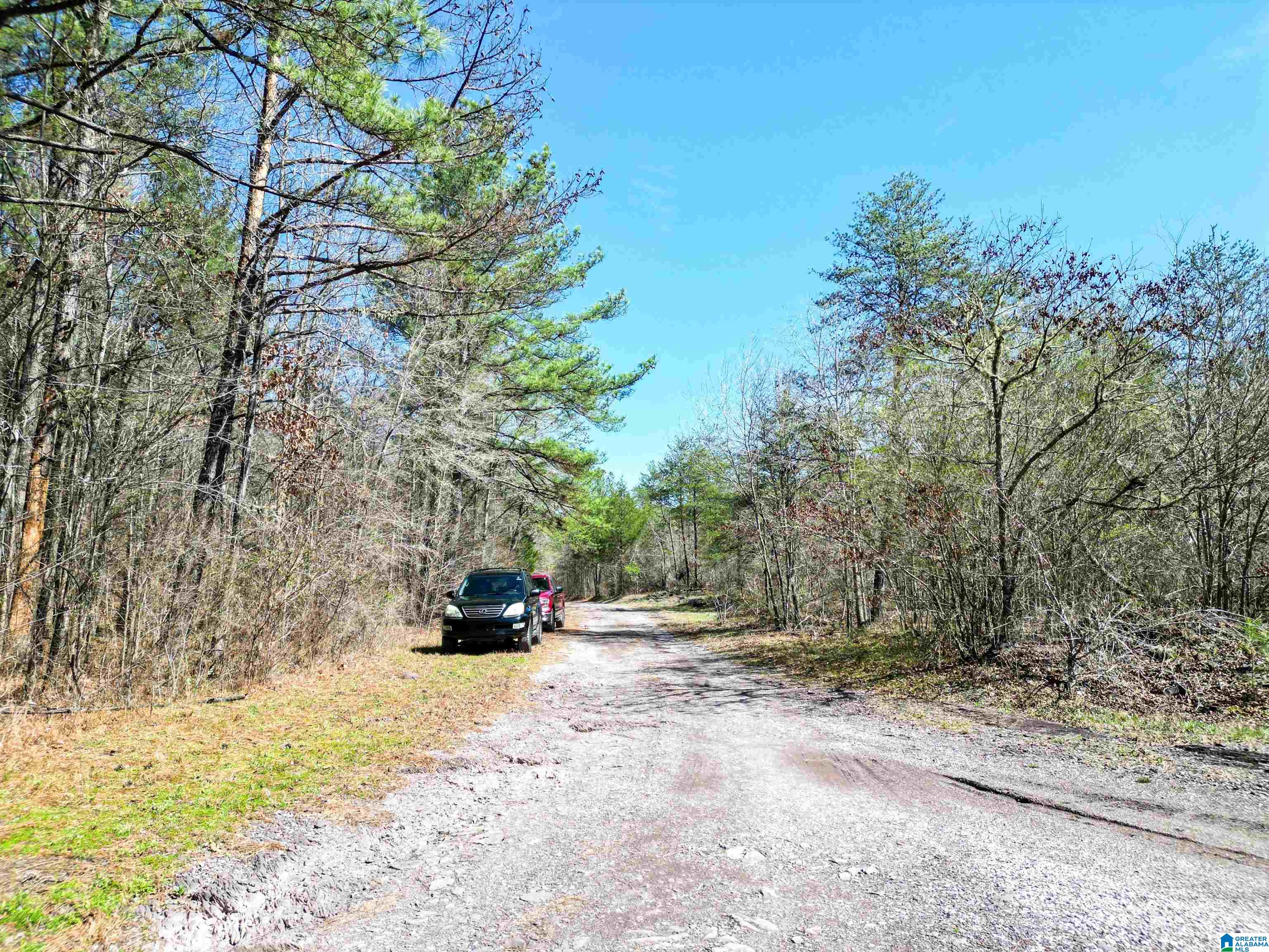 565 Hiawatha Road Calera, AL 35040 - Photo 11 of 27
