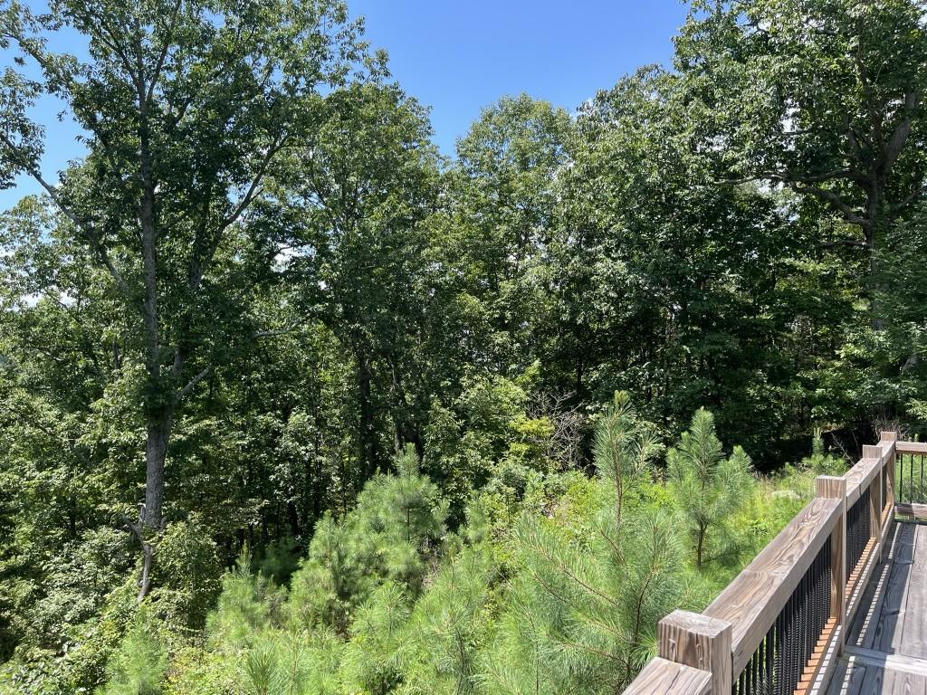 98 Adair Drive Ranger, GA 30734 - Photo 12 of 28 Gallery Image 12