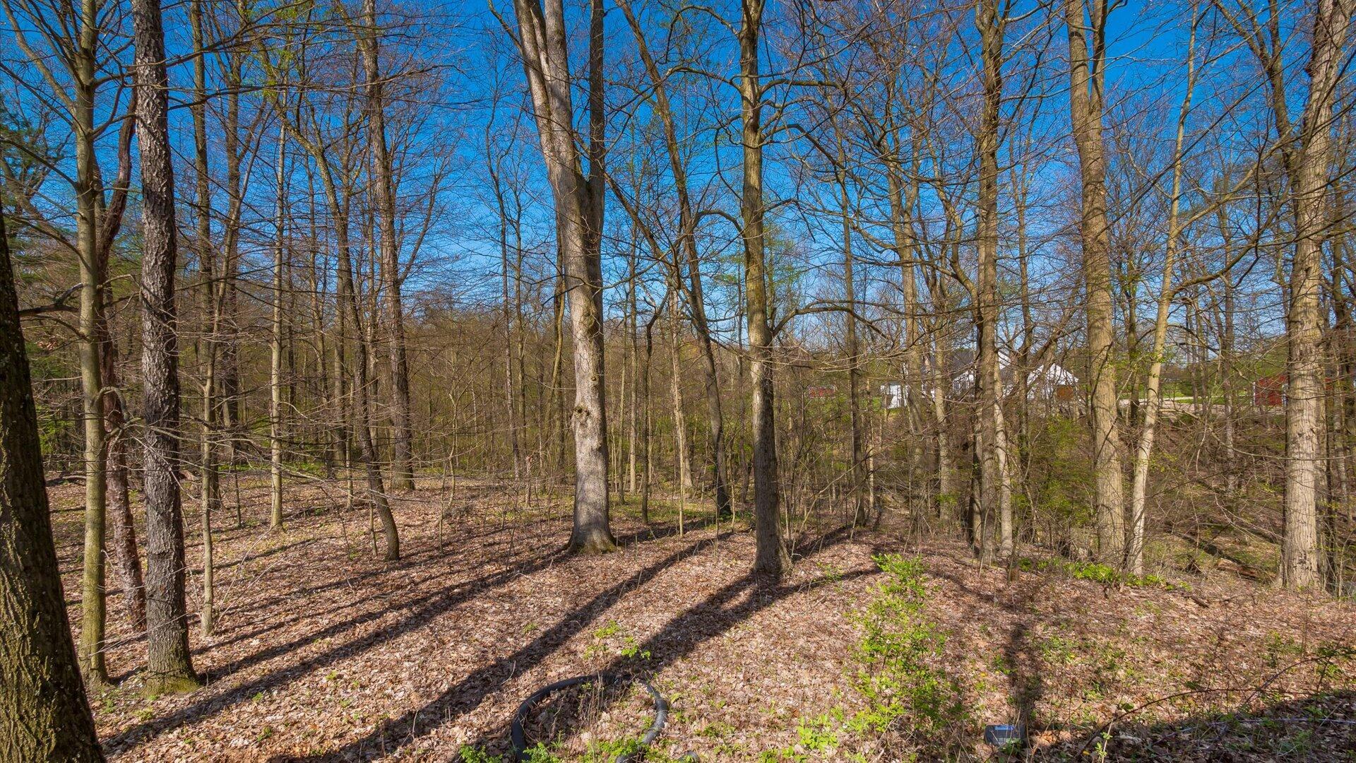 7907 Columbus Road Southwest Pataskala, OH 43062 - Photo 34 of 45 072-z 7907 Columbus Rd203-2