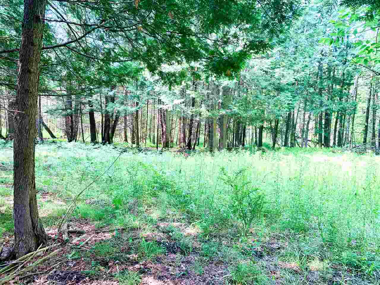Tbd 7 Mile (86.47 Acres) Road Remus, MI 49340 - Photo 13 of 29