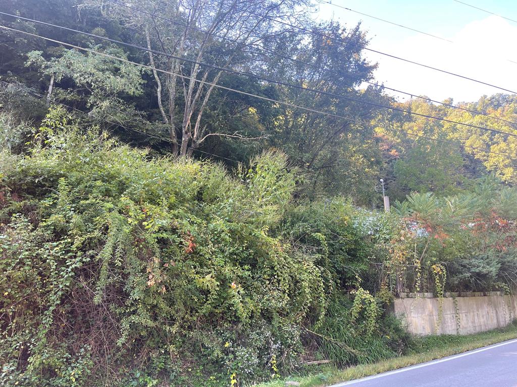 1062 Holiday Road, Unit TRACT A & B Rowe, VA 24646 - Photo 17 of 21 Gallery Image 17