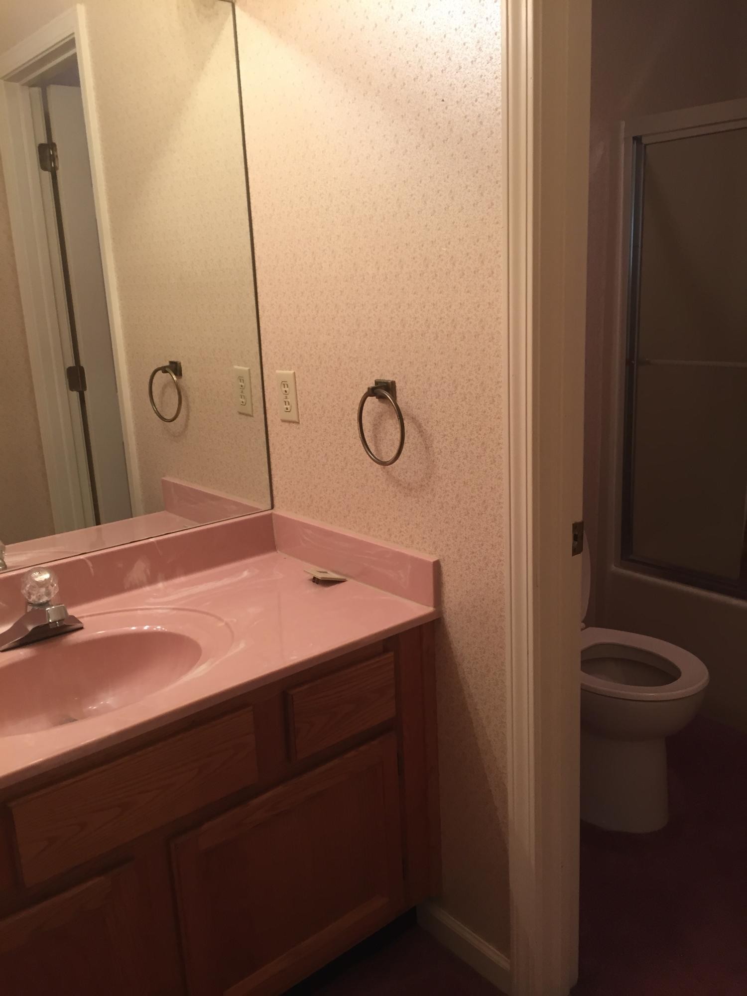 1144 North Rachaels Circle Maryville, TN 37804 - Photo 13 of 18 a bathroom with a sink and a mirror