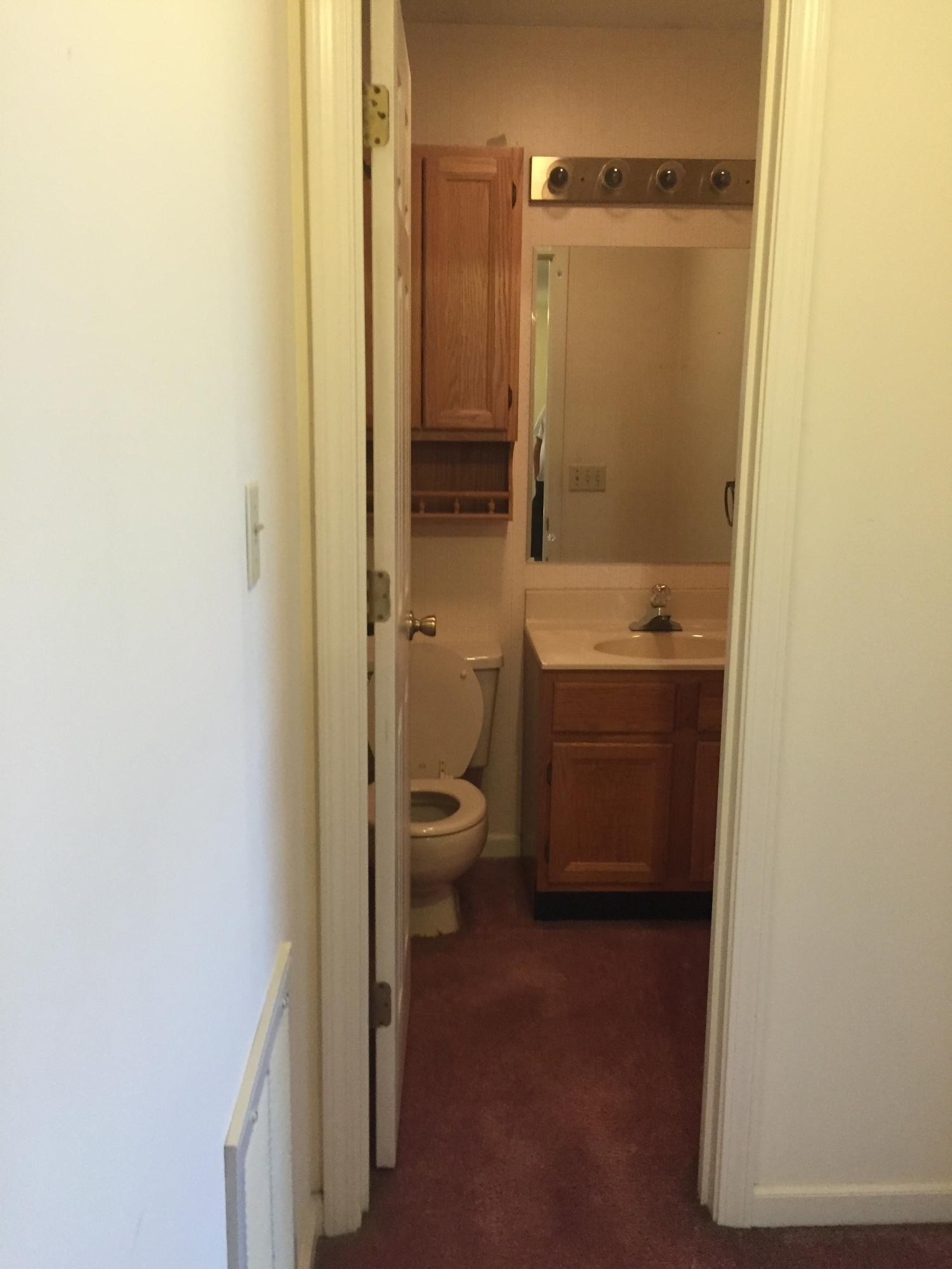 1144 North Rachaels Circle Maryville, TN 37804 - Photo 15 of 18 a bathroom with a sink a toilet and shower