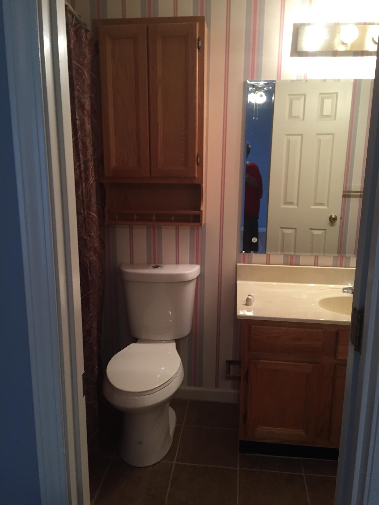 1144 North Rachaels Circle Maryville, TN 37804 - Photo 8 of 18 a bathroom with a toilet a sink and mirror