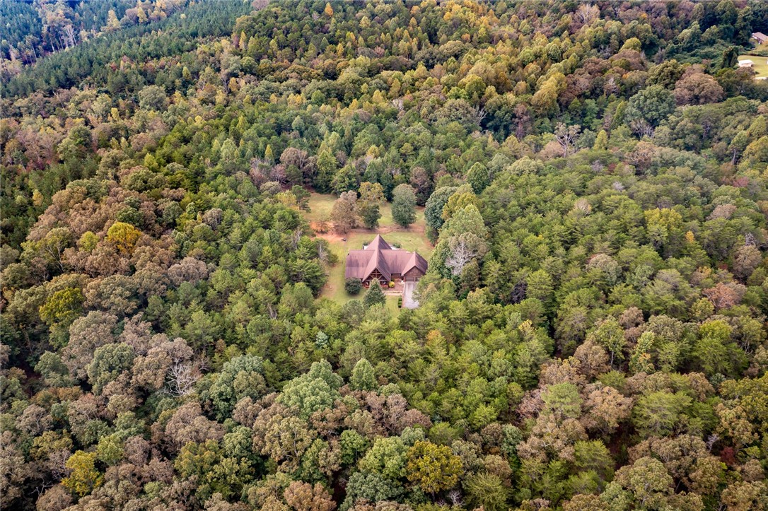 105 Camp Creek Road Central, SC 29630 - Photo 48 of 49