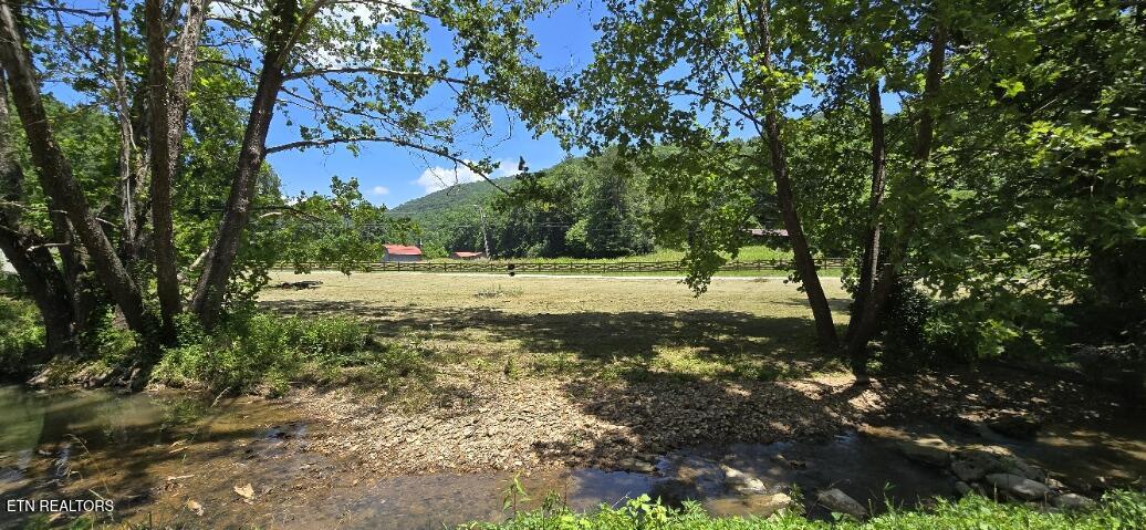 3894 Buffalo Road Oneida, TN 37841 - Photo 30 of 38 20260702_133734