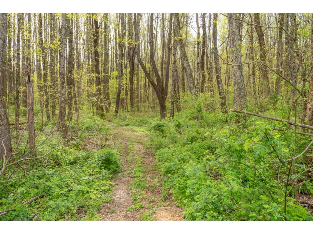 18260 Spring Lake Road Abingdon, VA 24210 - Photo 16 of 19 Photo 16