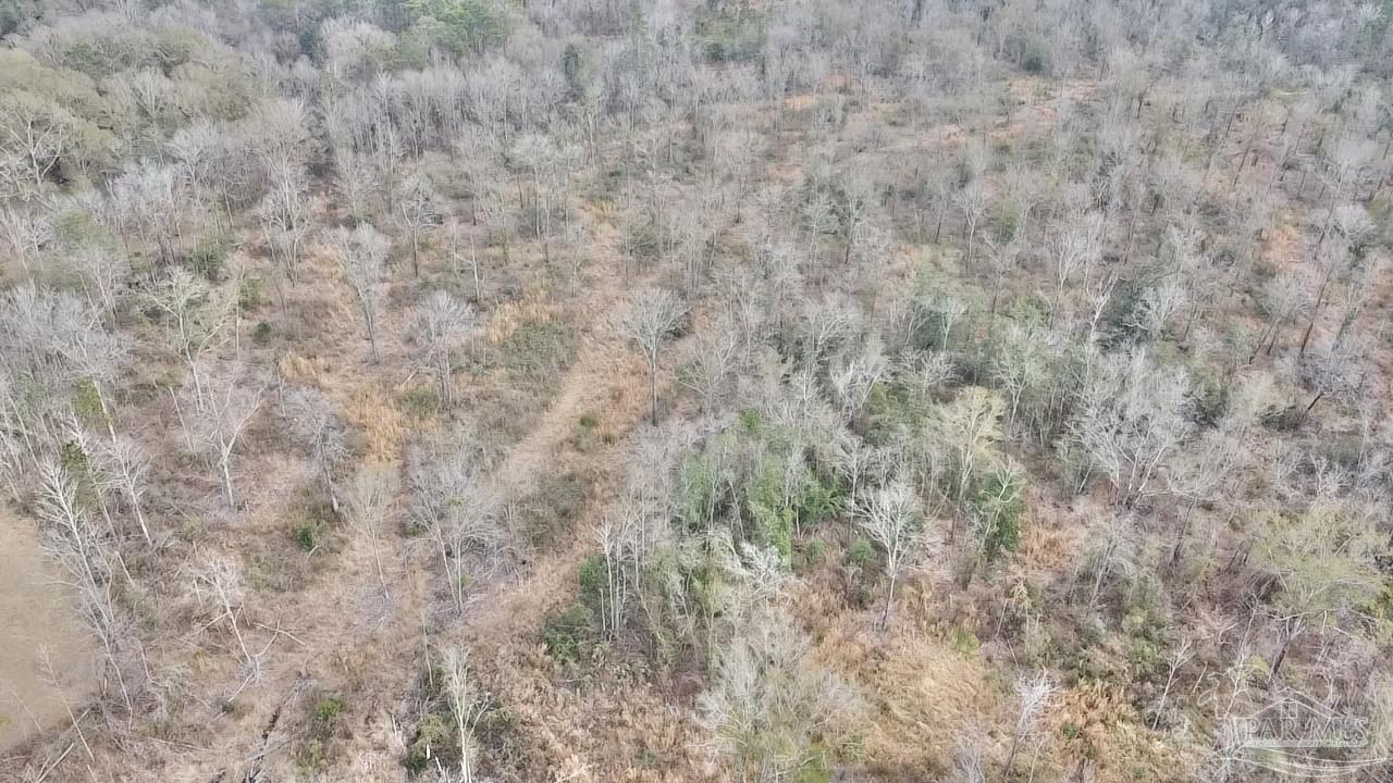 31 Perdido Al Perdido, AL 36562 - Photo 5 of 20