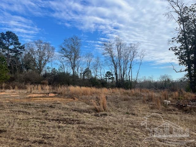 31 Perdido Al Perdido, AL 36562 - Photo 10 of 20
