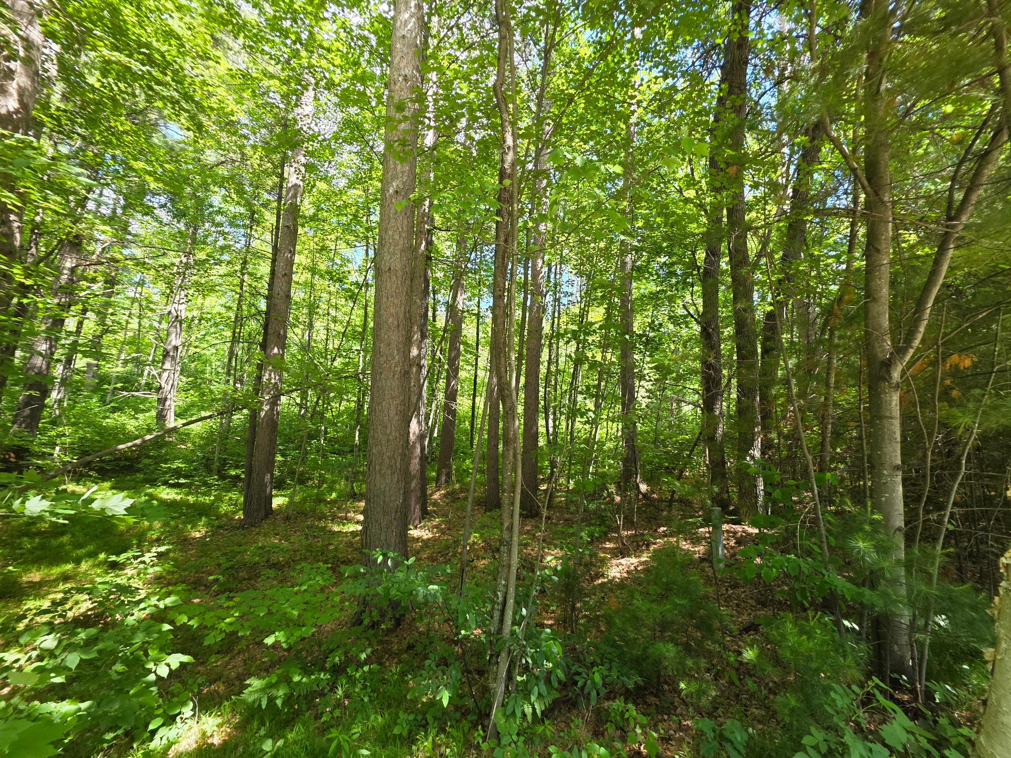 N11478 Cottage Road Tomahawk, WI 54487 - Photo 25 of 27 Gallery Image 25