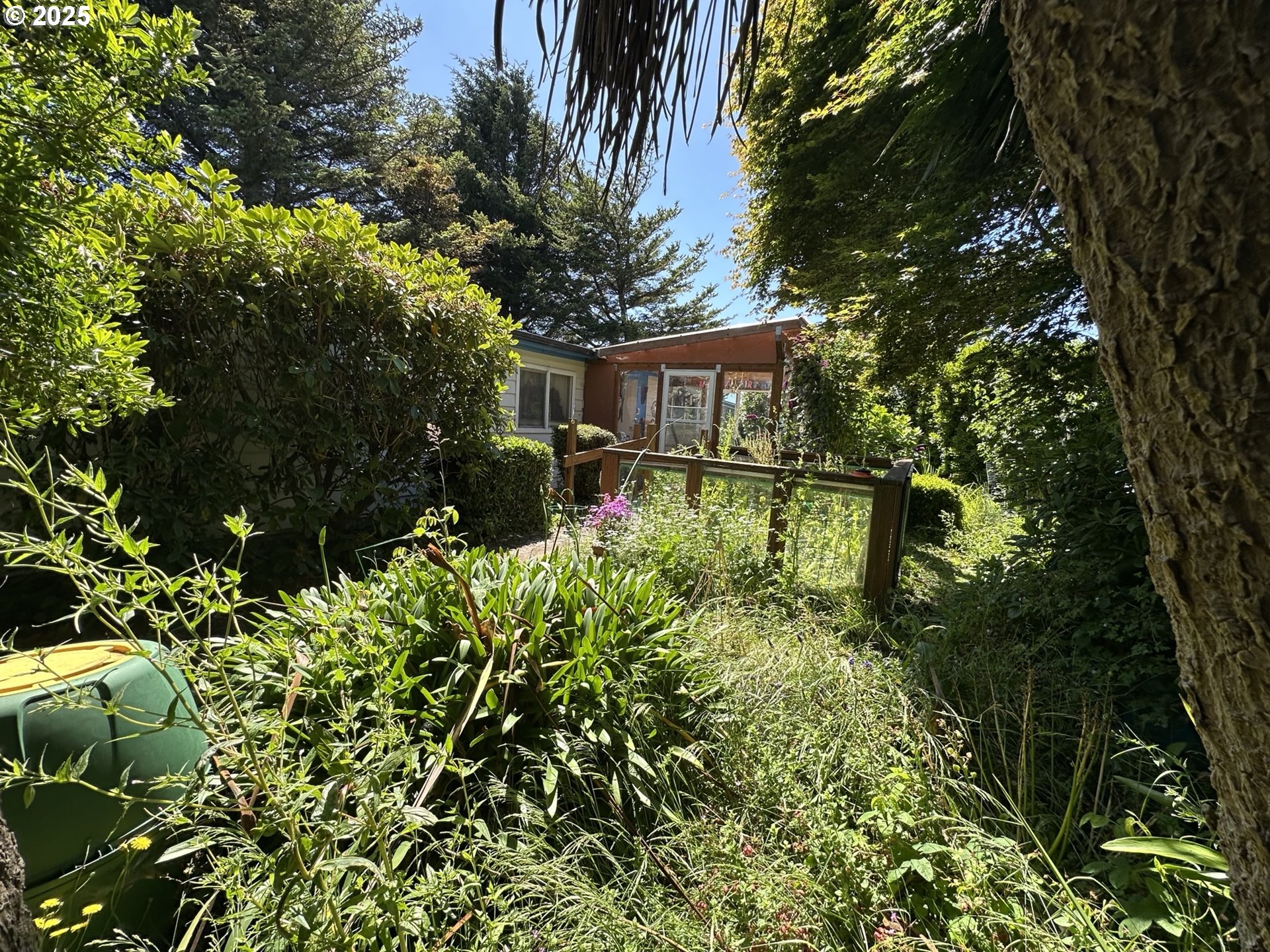 1601 Rhododendron Drive, Unit 572 Florence, OR 97439 - Photo 20 of 31 a backyard of a house with lots of green space