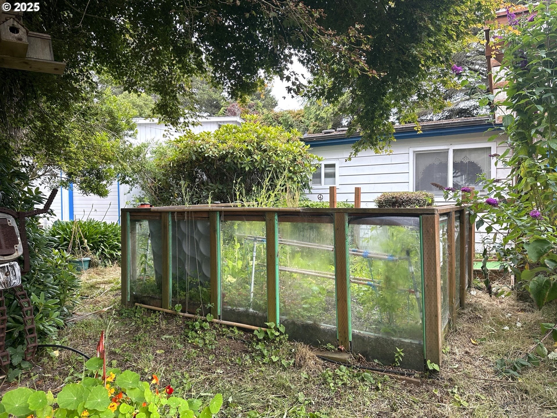 1601 Rhododendron Drive, Unit 572 Florence, OR 97439 - Photo 26 of 31 a backyard of a house with lots of green space