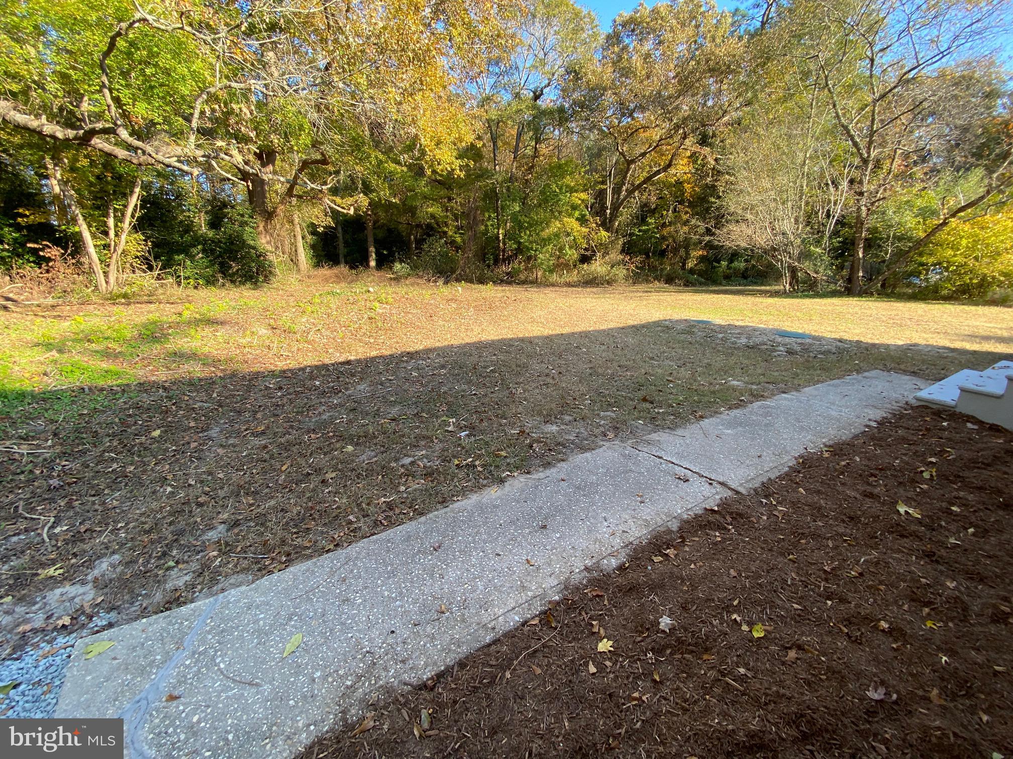 7242 Shockley Road Snow Hill, MD 21863 - Photo 27 of 29