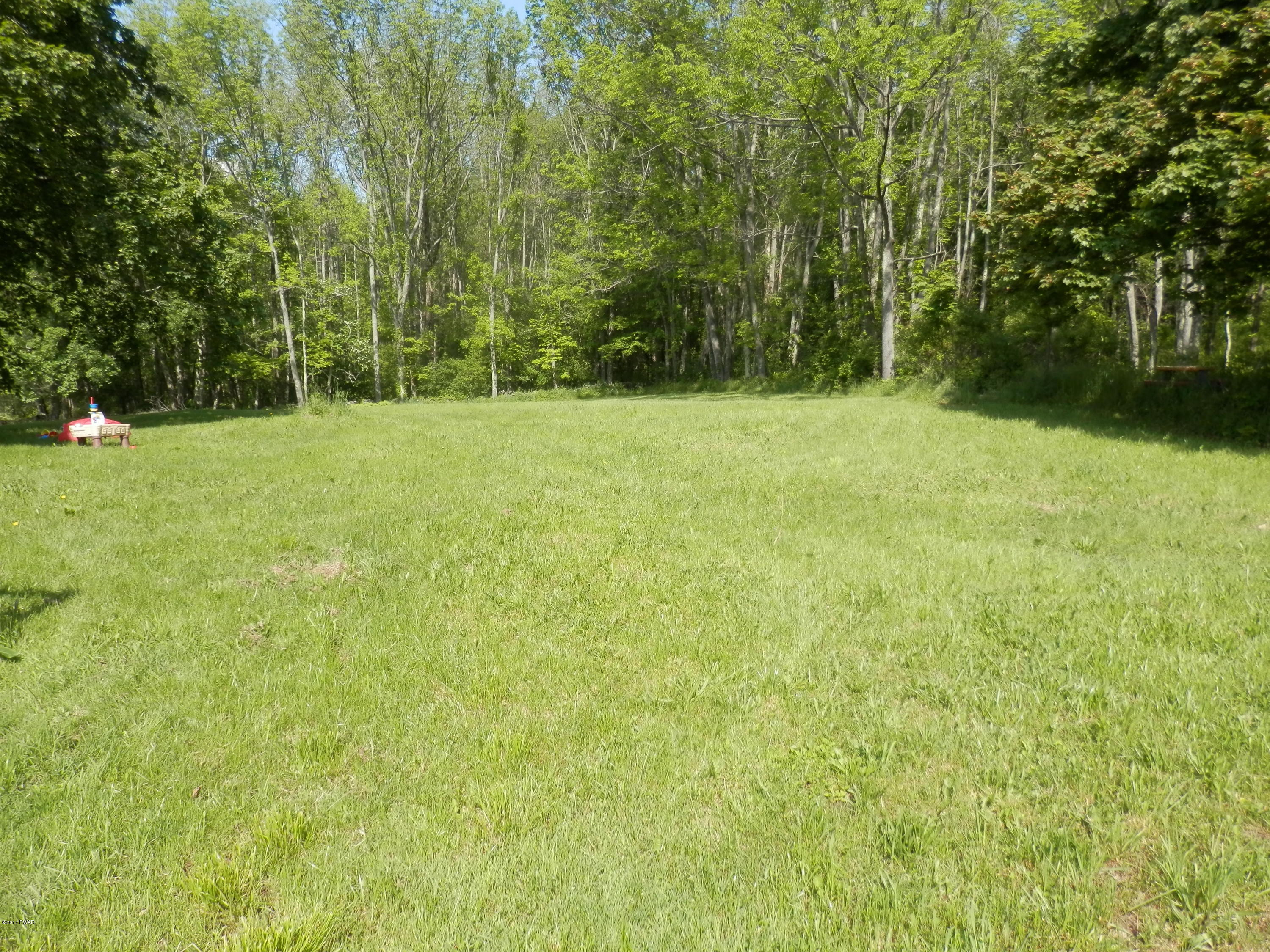 45 Lake Cross Road Pleasant Mount, PA 18453 - Photo 14 of 46 PRIVATE BACK YARD