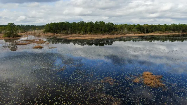 a view of lake with green space