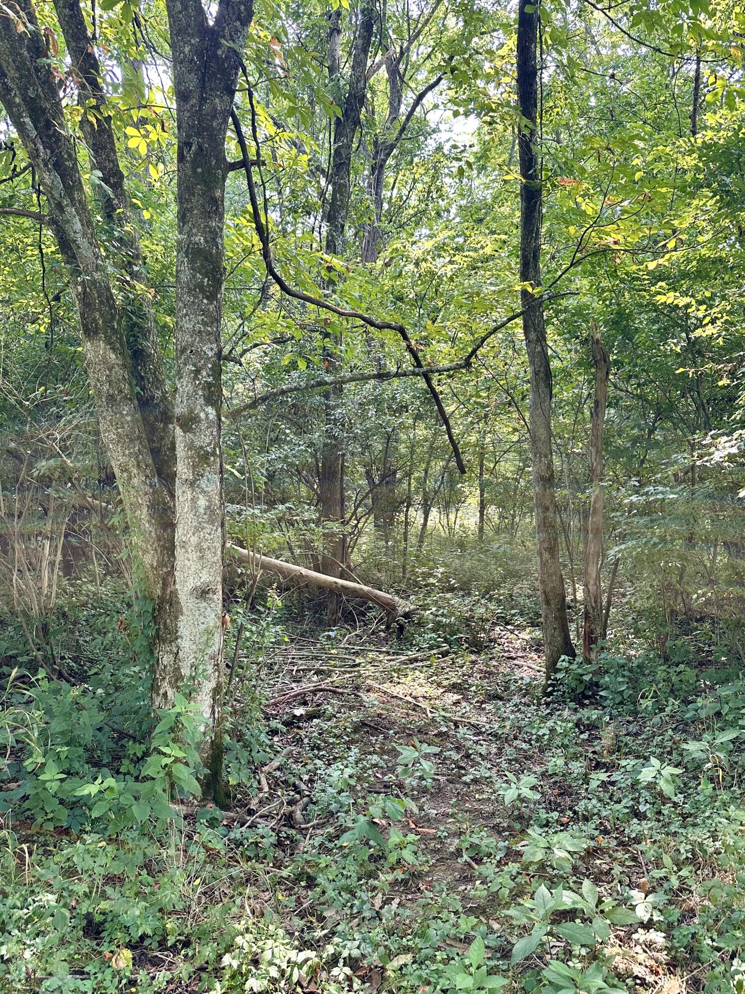 1 A Concord Road Carlisle, KY 40311 - Photo 13 of 16 IMG_2173