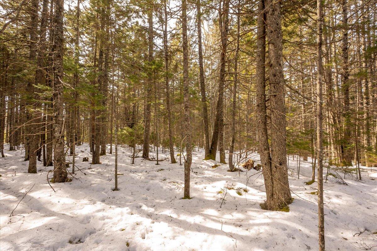 Lot 13 Nahanada Road New Harbor, ME 04554 - Photo 21 of 94 08-Nahanda-4