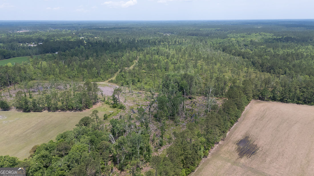 0 Old Louisville Road, Unit LOT 1 Guyton, GA 31312 - Photo 12 of 20 a view of a lake with a city