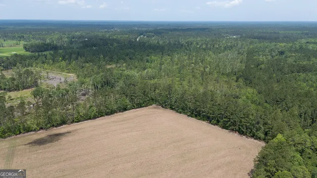 a view of a field with an ocean