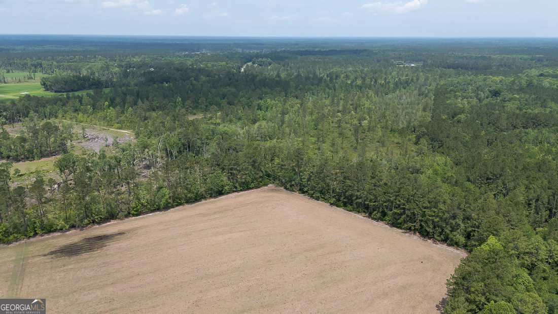 0 Old Louisville Road, Unit LOT 1 Guyton, GA 31312 - Photo 13 of 20 a view of a field with an ocean