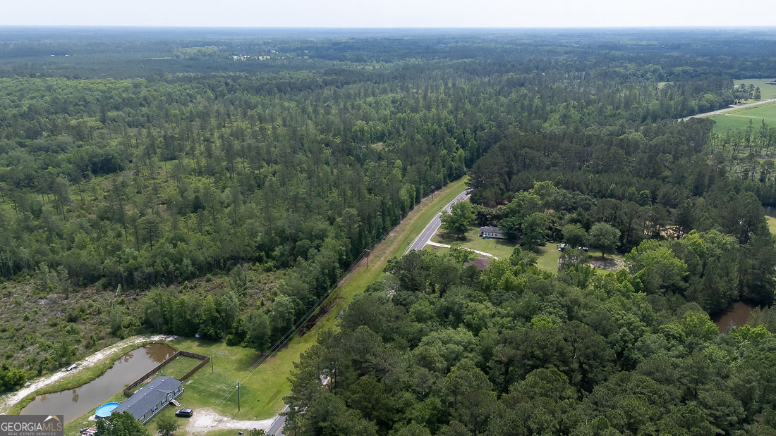 0 Old Louisville Road, Unit LOT 1 Guyton, GA 31312 - Photo 16 of 20 an aerial view of forest