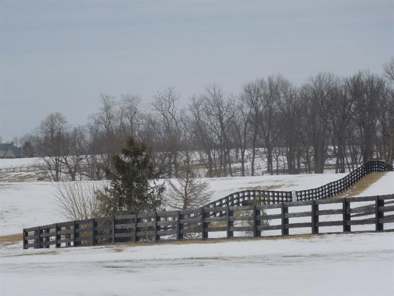 4171 Ironworks Road Georgetown, KY 40324 - Photo 77 of 77 Photo 77
