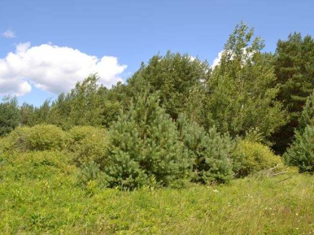 On Emils Way Rhinelander, WI 54501 - Photo 16 of 17 Gallery Image 16