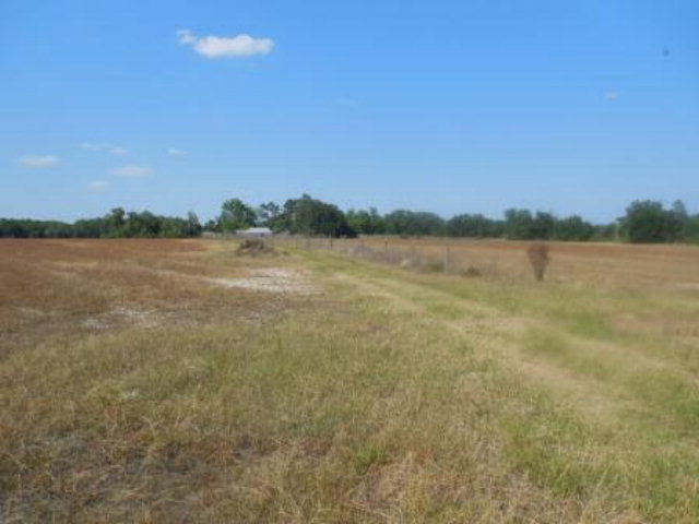 0 Cora Powell Road Samson, AL 36477 - Photo 1 of 1 Main View