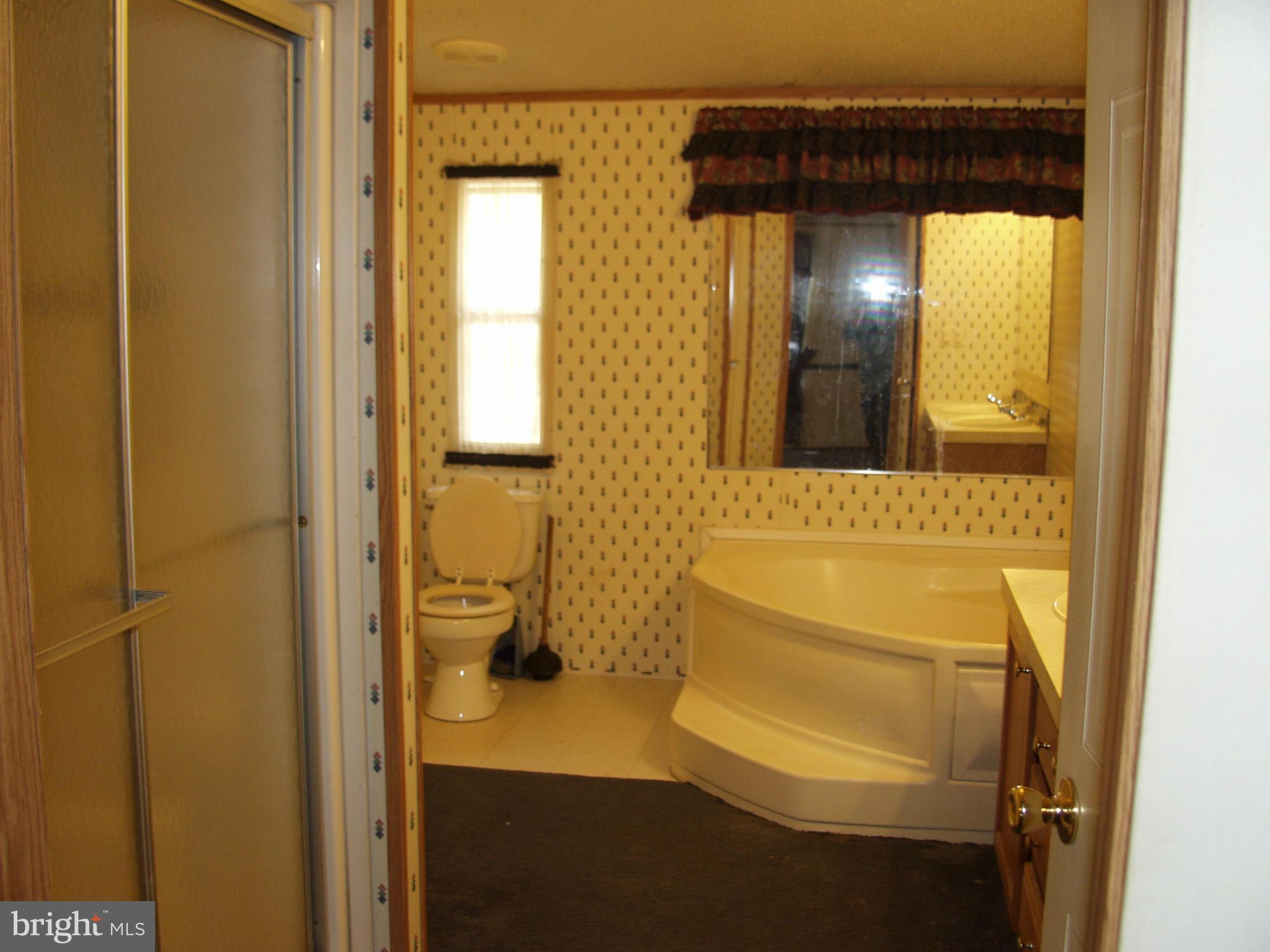 735 Pack Horse Road Winchester, VA 22603 - Photo 20 of 23 Bath (Master)