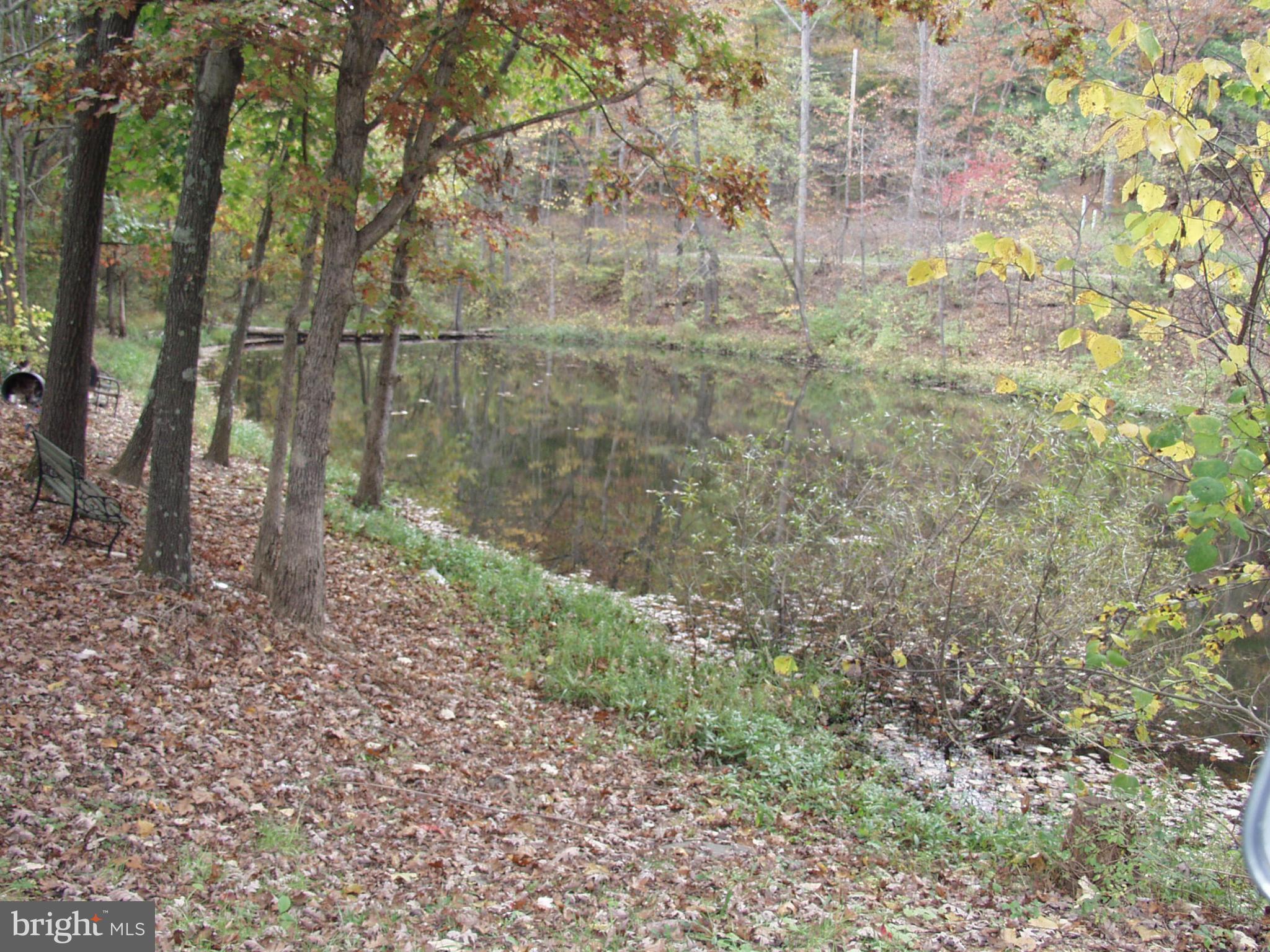 735 Pack Horse Road Winchester, VA 22603 - Photo 3 of 23 View