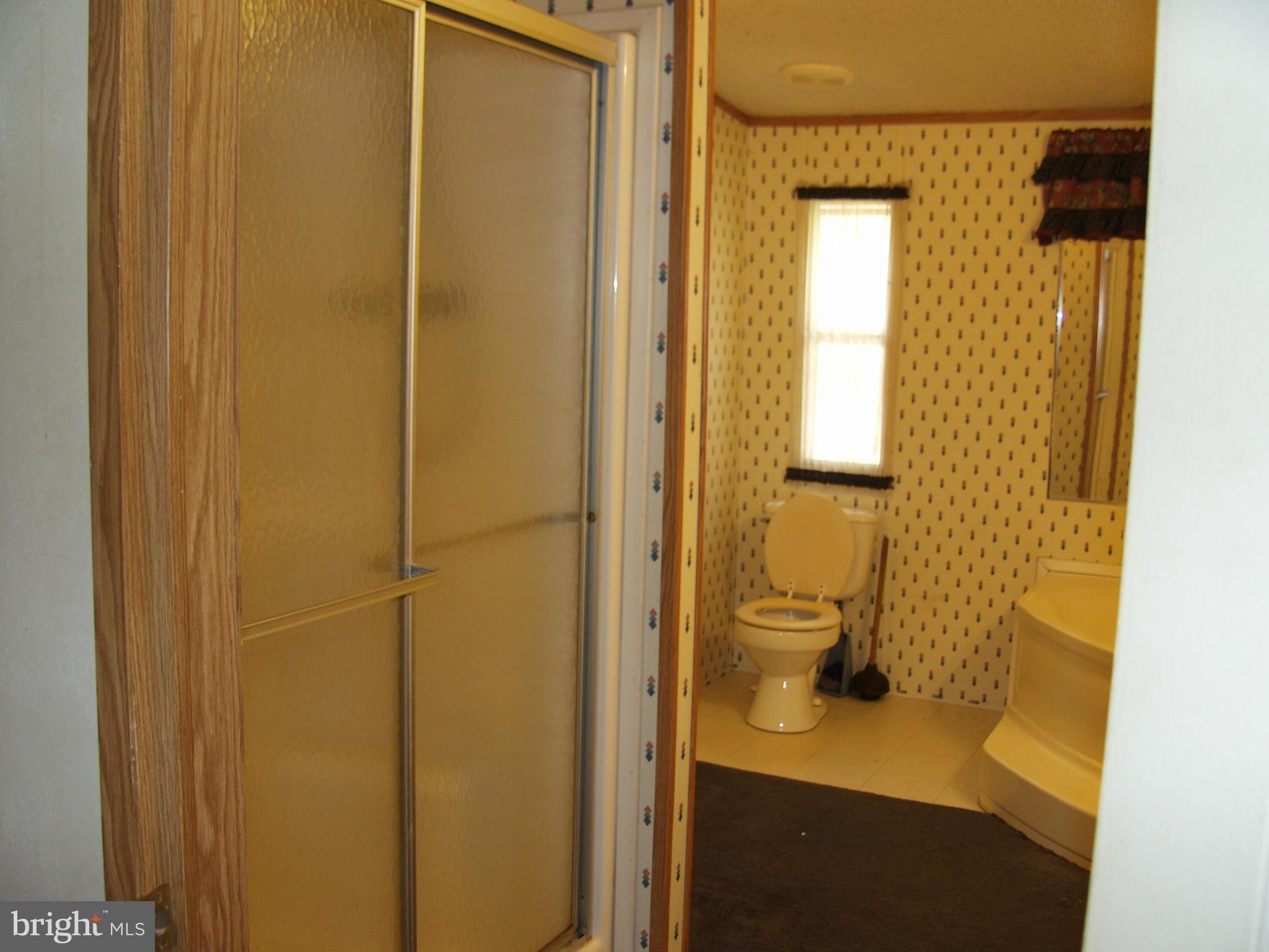 735 Pack Horse Road Winchester, VA 22603 - Photo 21 of 23 Bath (Master)