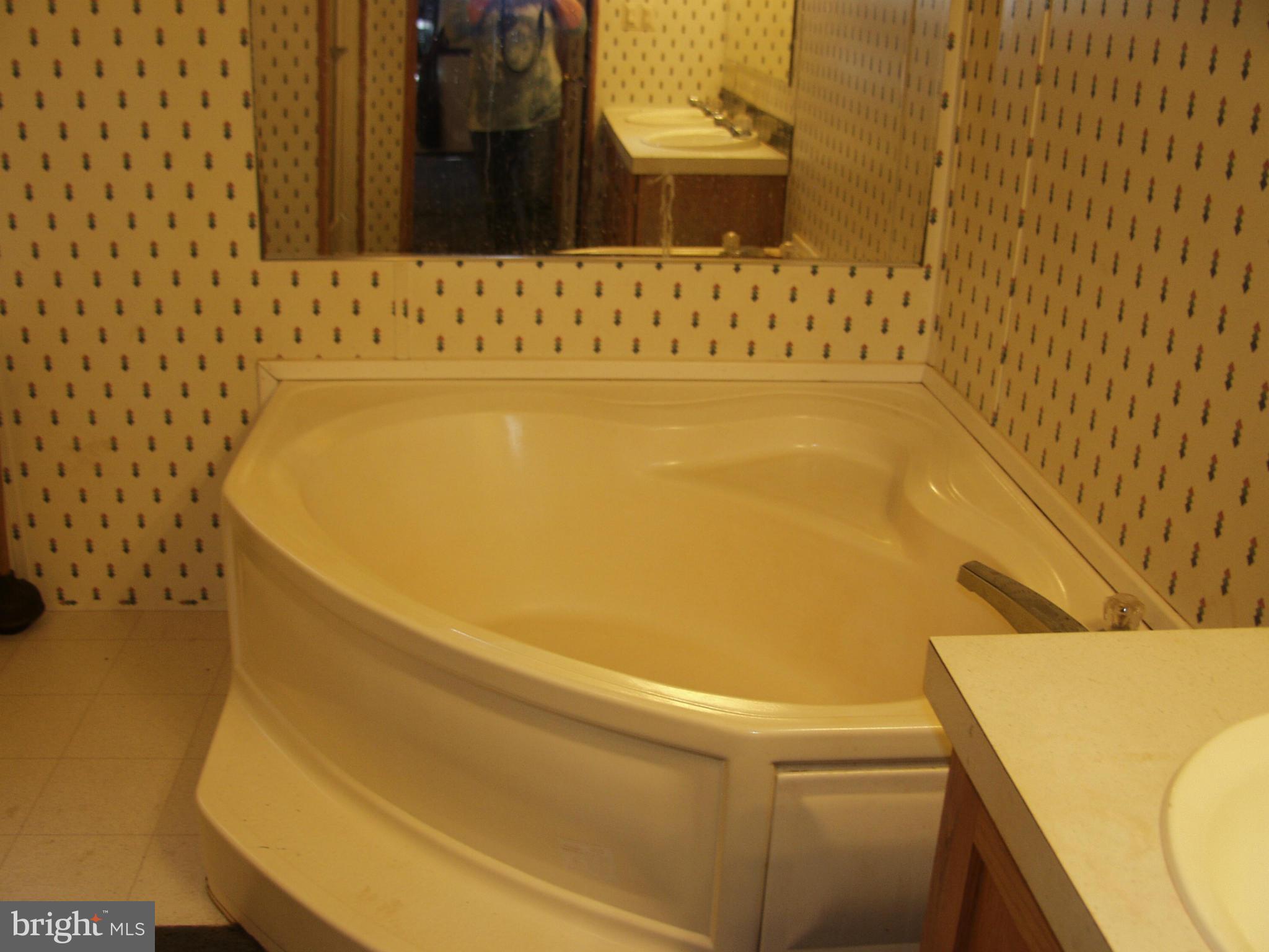 735 Pack Horse Road Winchester, VA 22603 - Photo 22 of 23 Bath (Master)