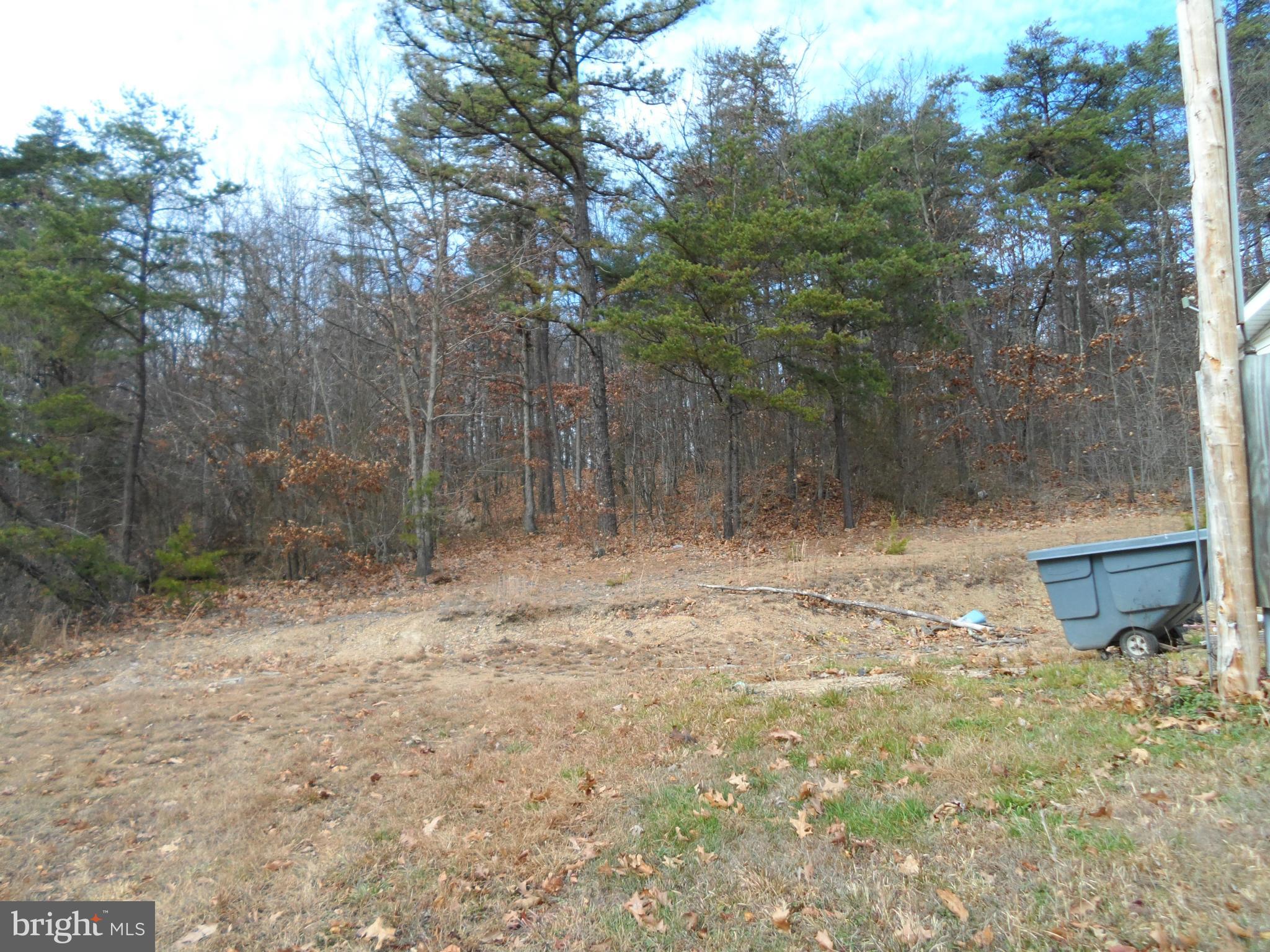 735 Pack Horse Road Winchester, VA 22603 - Photo 4 of 23 Exterior (Rear)