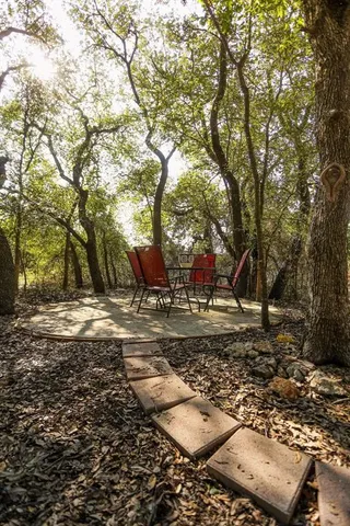 a view of a yard with plants and trees