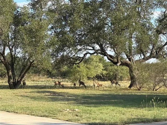 a view of a lake view
