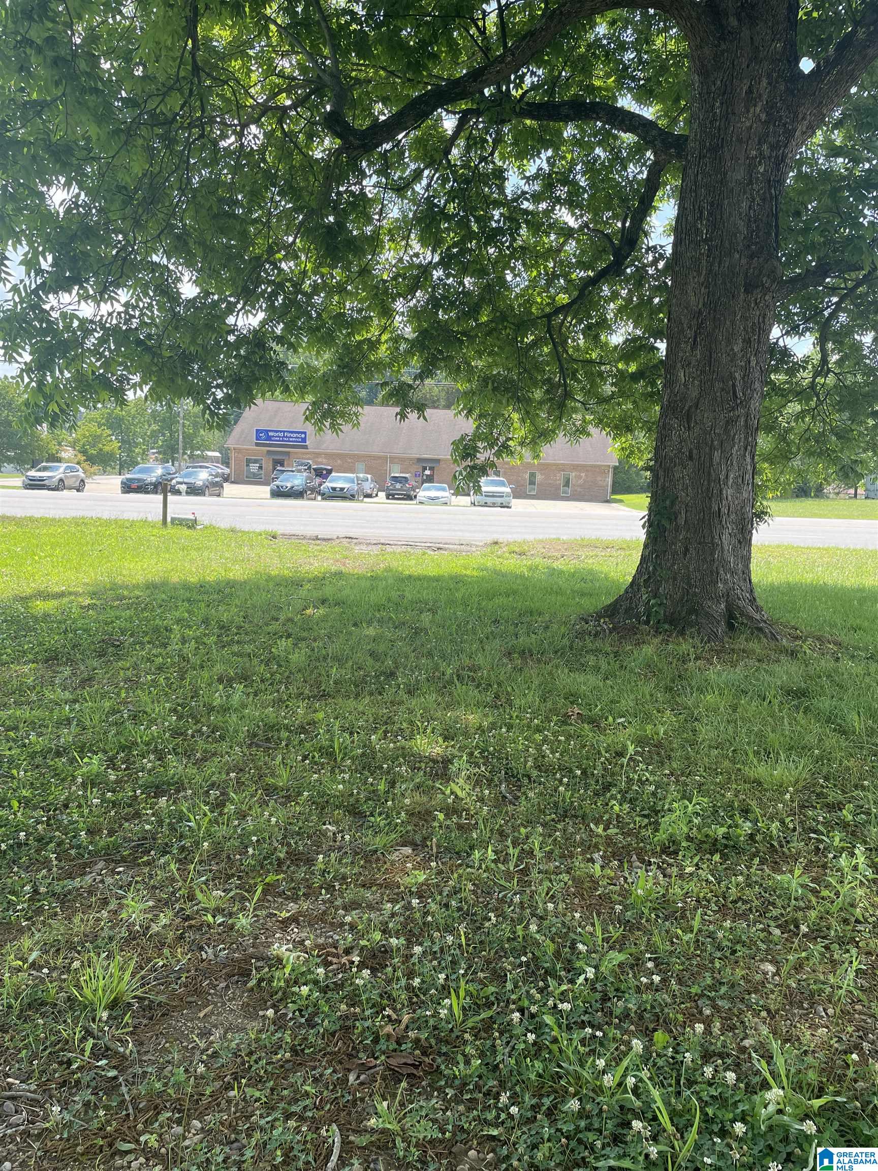 1408 2nd Avenue, Unit 4 Oneonta, AL 35121 - Photo 8 of 9