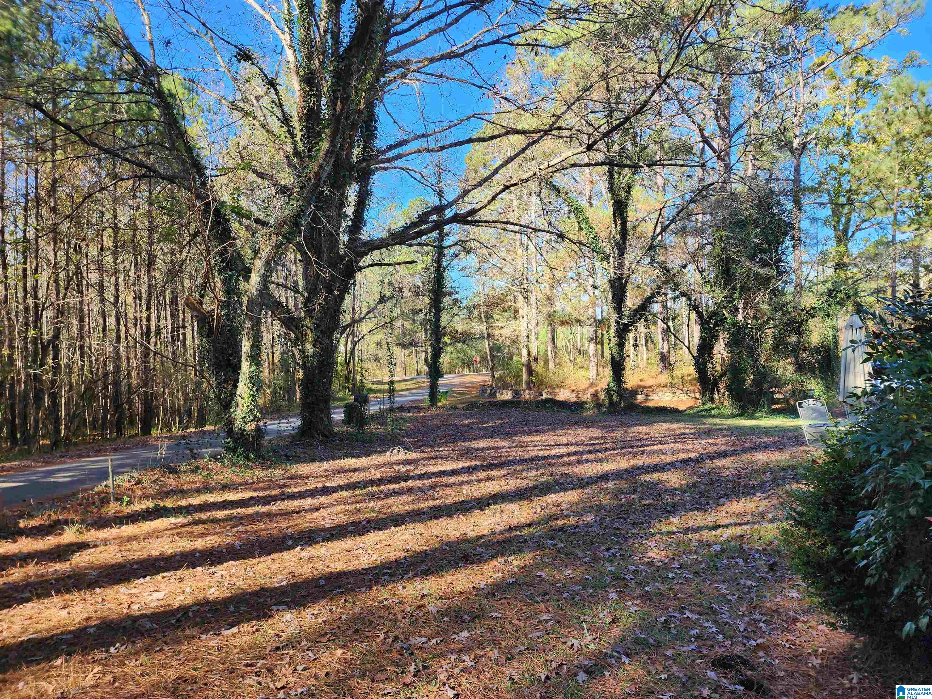 524 Raccoon Trail Goodwater, AL 35072 - Photo 3 of 21