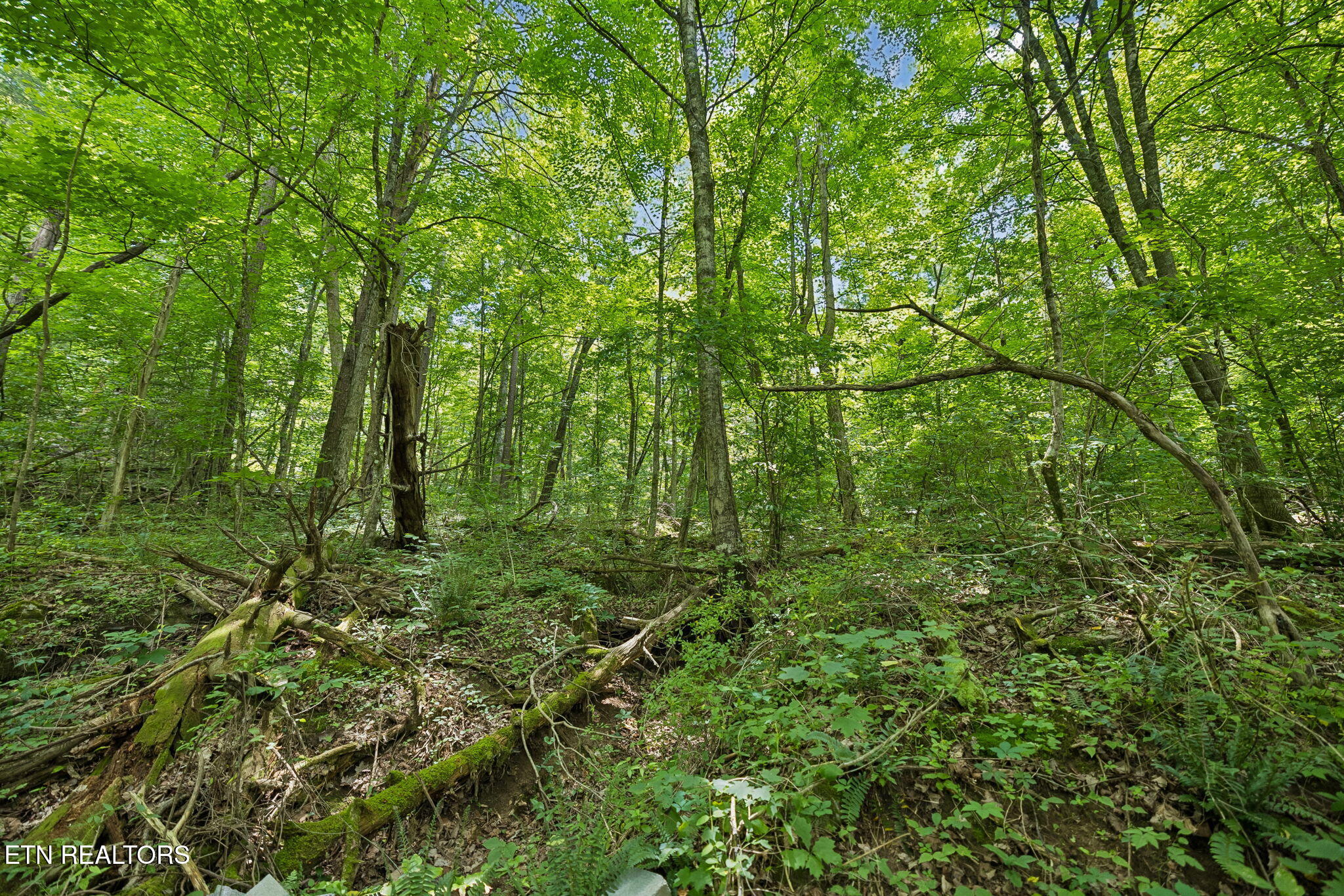 Knob Road Rutledge, TN 37861 - Photo 22 of 46 16-344 Knob Rd - 016