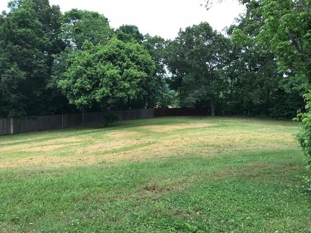 1016 Cheek Road Cumberland Furnace, TN 37051 - Photo 16 of 18 Gallery Image 16