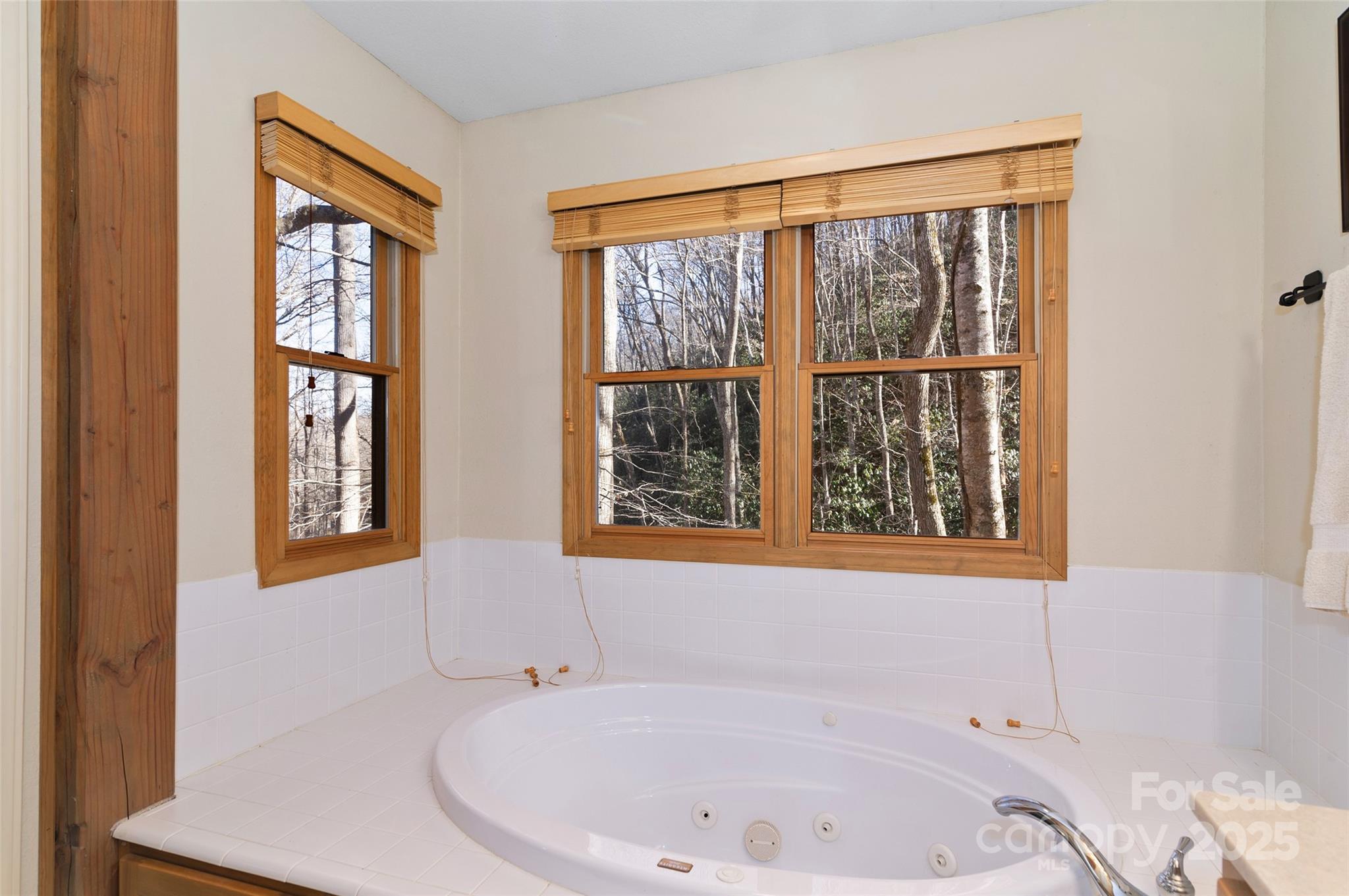 49 Echo Ridge Maggie Valley, NC 28751 - Photo 21 of 39 Gallery Image 21