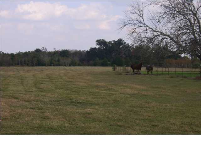 0 La Highway Church Point, LA 70525 - Photo 2 of 3 Additional Photo