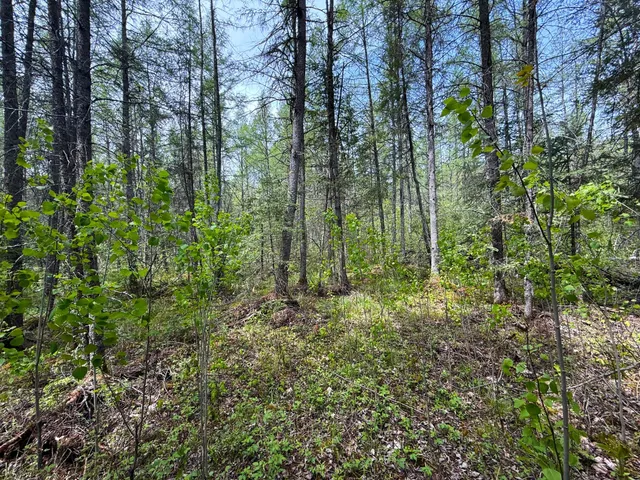 $89,000 | 72-xxx East Central Lakes Road, Eveleth, MN 55734