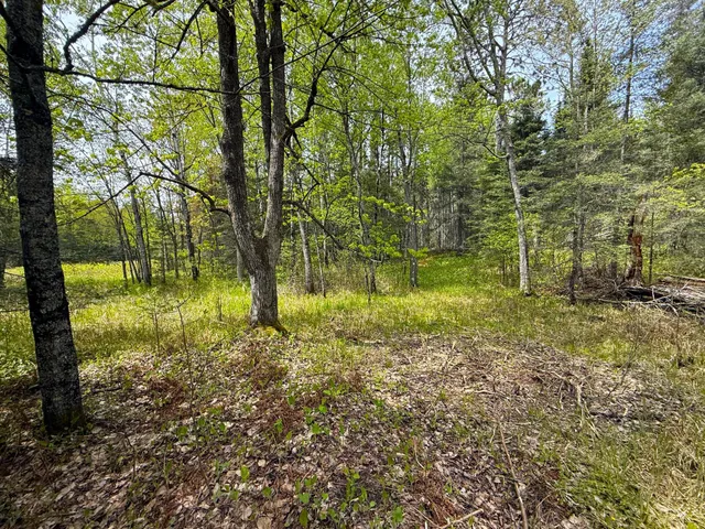 $89,000 | 72-xxx East Central Lakes Road, Eveleth, MN 55734